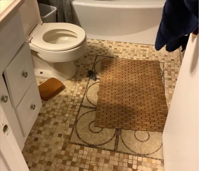 A repaired toilet leak